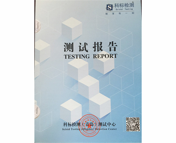 檢測報告